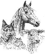 Colville Animal Hospital Logo